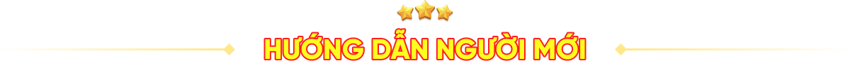 hướng dẫn newbie